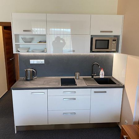 Apartmany Wellness Frymburk Bagian luar foto
