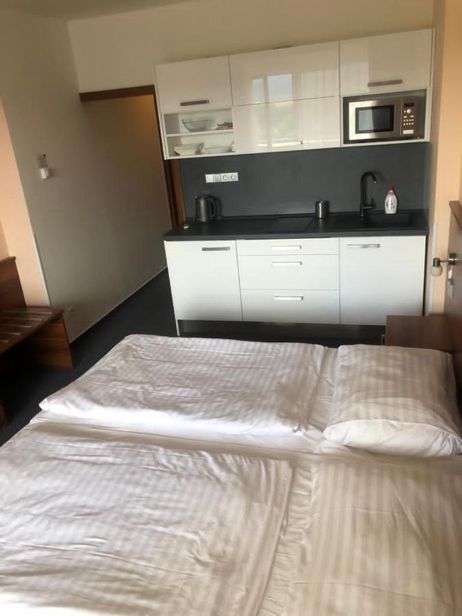 Apartmany Wellness Frymburk Bagian luar foto