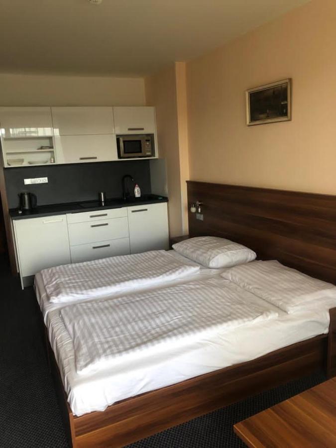 Apartmany Wellness Frymburk Bagian luar foto